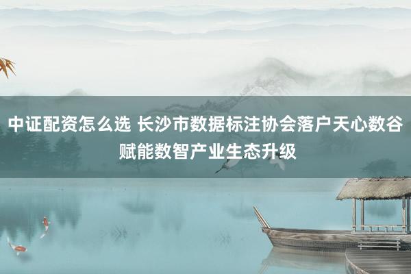 中证配资怎么选 长沙市数据标注协会落户天心数谷 赋能数智产业生态升级