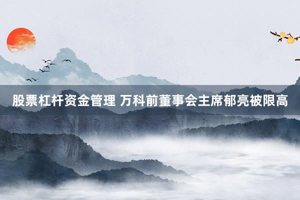 股票杠杆资金管理 万科前董事会主席郁亮被限高