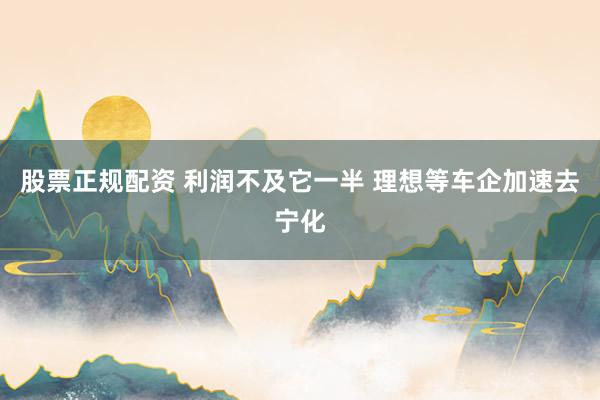 股票正规配资 利润不及它一半 理想等车企加速去宁化