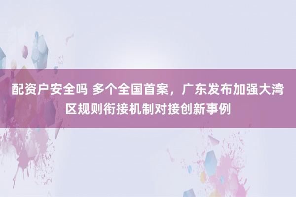 配资户安全吗 多个全国首案，广东发布加强大湾区规则衔接机制对接创新事例