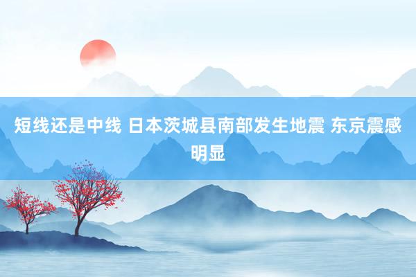 短线还是中线 日本茨城县南部发生地震 东京震感明显